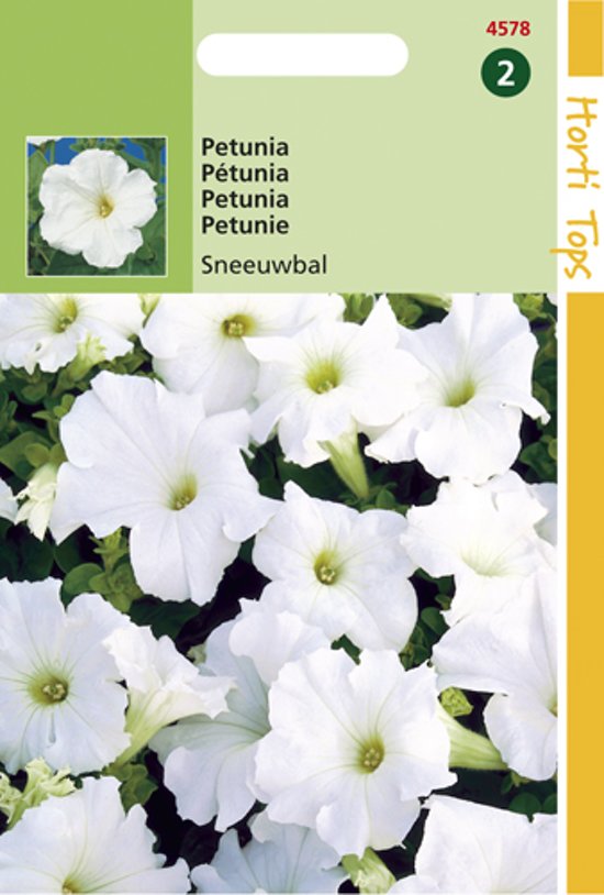 Petunia Snowball - 2000 seeds HT
